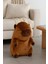 Capybara Oturan Peluş, Uyku Arkadaşı Kapibara Peluş Yastık 25 Cm 2