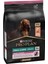 Pro Plan Adult Small Somonlu Yetişkin Köpek Maması 7 kg 2