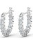 5562126 Swarovski Küpe Vıttore-Pe Mını Hoop Czwh-Rhs 2