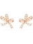 5647572 Swarovski Küpe Volta:pe Fig S Bow Whi/ros 1