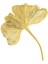 Ginkgo Broş 1