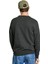 Koyu Gri Erkek Bisiklet Regular Fit Kazak PM702469-963 New Andre Crew Neck 3