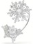 Küpe Idyllia Ear Cuff, Single, Mixed Cuts, Snowflake, White, Rhodium Plated 1