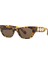 5691701 Swarovski Gözlük Imber:eyewear SK6022 El Oval Bro/cre 1
