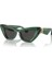 Ray-Ban RB2242 Wayfarer Ovalkahve Unisex Polarize Güneş Gözlüğü 4