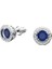 5573693 Swarovski Küpe Ss Te Sparklıng Dc:pe Stud Cobt/rhs 1