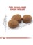 Royal Canin Sterilised Yetişkin Kısırlaştırılmış Kedi Maması 10 kg 4
