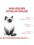 Royal Canin Kitten Yavru Kedi Maması 2 kg 2