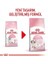 Royal Canin Kitten Yavru Kedi Maması 2 kg 3