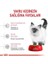 Royal Canin Kitten Yavru Kedi Maması 2 kg 4
