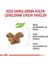 Royal Canin Kitten Yavru Kedi Maması 2 kg 5