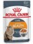 Royal Canin Intense Beauty Jelly Pouch Konserve Kedi Maması 85 gr 1