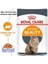 Royal Canin Intense Beauty Jelly Pouch Konserve Kedi Maması 85 gr 2