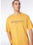 Turuncu Erkek Bisiklet Yaka Loose Fit Baskılı T-Shirt D4SM-TST3255 1