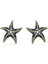 5684165 Swarovski Küpe Idyllia F:pe Stud Starfish L Gre/gos 1