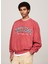 Kırmızı Erkek Bisiklet Relaxed Baskılı Sweatshirt DM0DM19757XIT Rlx Tj Gd Varsıty 1