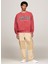 Kırmızı Erkek Bisiklet Relaxed Baskılı Sweatshirt DM0DM19757XIT Rlx Tj Gd Varsıty 2