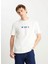 Ekru Erkek Relaxed T-Shirt W2510719102 Relaxed Fit Grafik Logo 2
