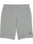 68259803 Ess Shorts Gri Erkek Şort 3