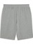68259803 Ess Shorts Gri Erkek Şort 4