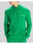 Authentic Theo Erkek Regular Fit Hoodie 4