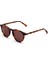 Messyweekend New Depp Kahve-Kahve Unisex Güneş Gözlüğü 2