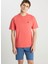 Kahverengi Erkek Relaxed T-Shirt MW7NM20387733L Relaxed Fit Small 4