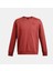 Erkek Ua Icon Fleece Bisiklet Yaka Sweatshirt 1374250-840 4