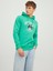 Erkek Sweatshirts 12244219 1