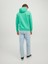 Erkek Sweatshirts 12244219 5