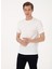 Ekru Erkek Slim Fit T-Shirt Mıranda 3