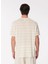 Bej Erkek Bisiklet Yaka Relaxed Çizgili T-Shirt F4SM-TST 0245 5