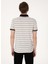 Bej Erkek Slim Fit Çizgili Polo T-Shirt Ken 5