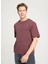 Bisiklet Yaka Kahve Erkek T-Shirt W241556H45 Regular T-Shirt 2