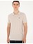 Taş Slim Fit Basic Tişört 3