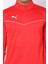 Team Rise 1/4 Fermuarlı Erkek Sweat 65909701 4