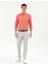 Normal Bel Normal Paça Slim Fit Açık Gri Erkek Pantolon Rıves 1
