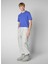 Mavi Erkek Normal Düz T-Shirt DT1194MMESY1990062 Bram Mavi 2
