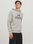 Erkek Sweatshirts 12244219 5