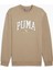 Squad Erkek Sweatshirt 68179567 1