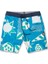 Mavi Erkek Kısa Şort Mayo A0812308_VOLCOM Geo Stoney 19 Ain Ş 4