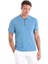 Indigo Regular Fit Düz Polo Yaka Tişört 1