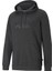 Ess Big Logo Hoodie Tr Dark Gray Heather Erkek Sweatshirt 1