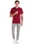 Bordo Regular Fit Düz Merserize Polo Yaka 100% Pamuk Tişört 4