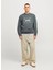 Gri Erkek Bisiklet Relaxed Sweatshirt Jcoalpha Sweat Crew Neck 1