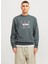 Gri Erkek Bisiklet Relaxed Sweatshirt Jcoalpha Sweat Crew Neck 2