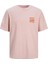 Erkek T-Shirt Jorrecıpe Tee Ss Crew Neck Tg Ln 12254174-PINK Nectar 1