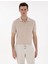 Taş Regular Fit Basic Tişört 1