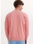 Pembe Baskılı Bisiklet Yaka Pamuklu Regular Fit Erkek Sweatshirt Wmcollage Fun 4