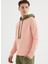 Pembe Haki Kapüşonlu Pamuklu Regular Fit Erkek Sweatshirt Core Colour Blocked Hoodıe 1